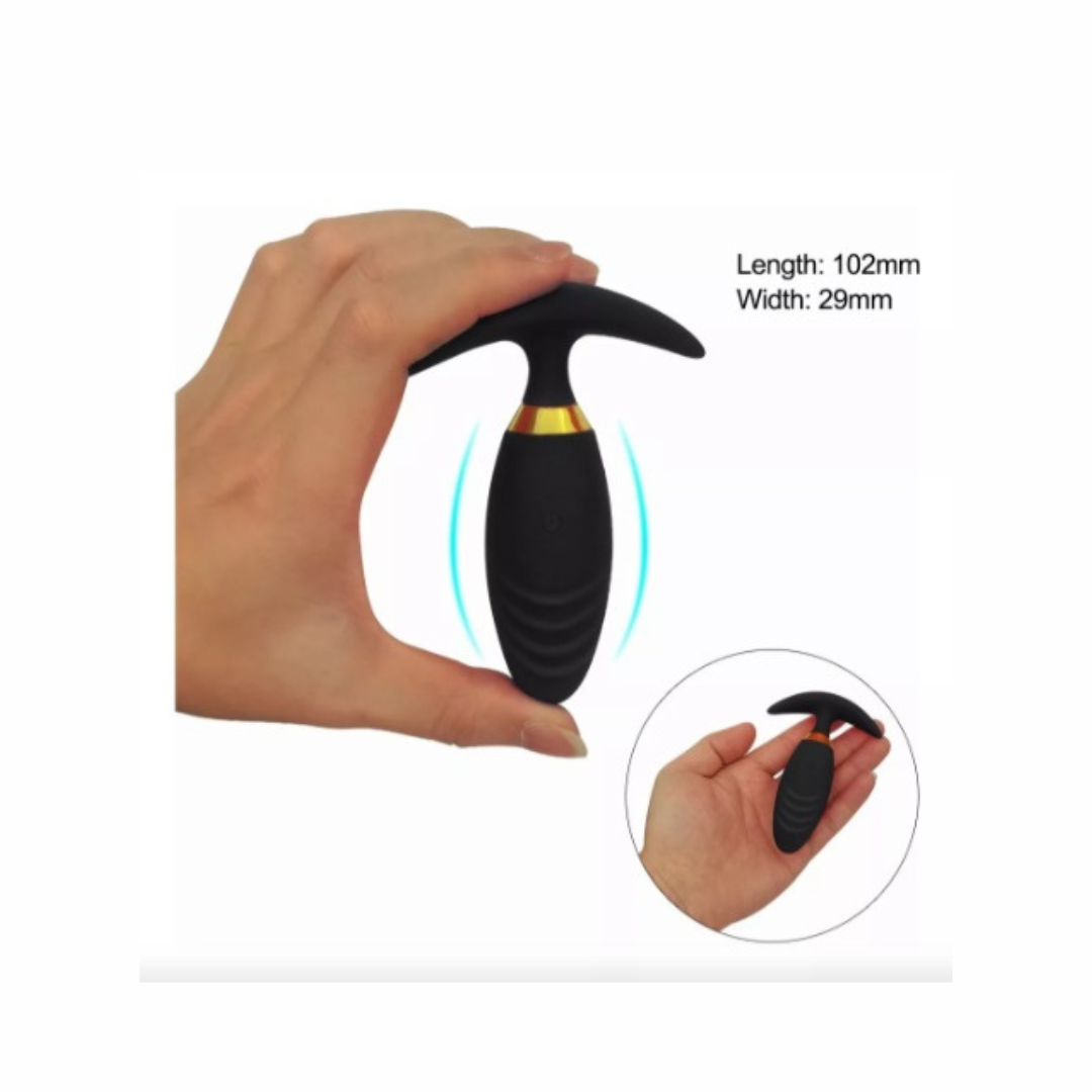 Plug anal ancla con vibración Recargable y control